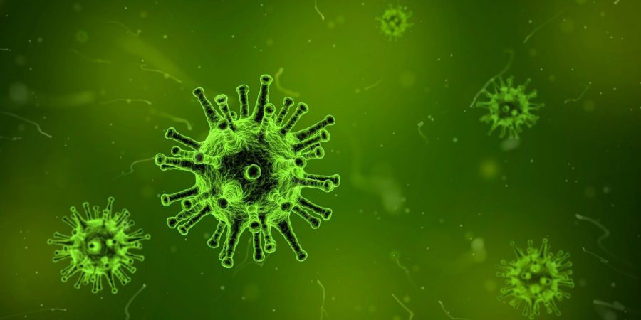 Coronavirus%3A+New+Epidemic+or+Overreaction%3F