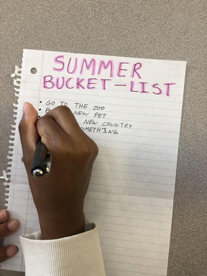 Lake Shore Students Summer Bucket List